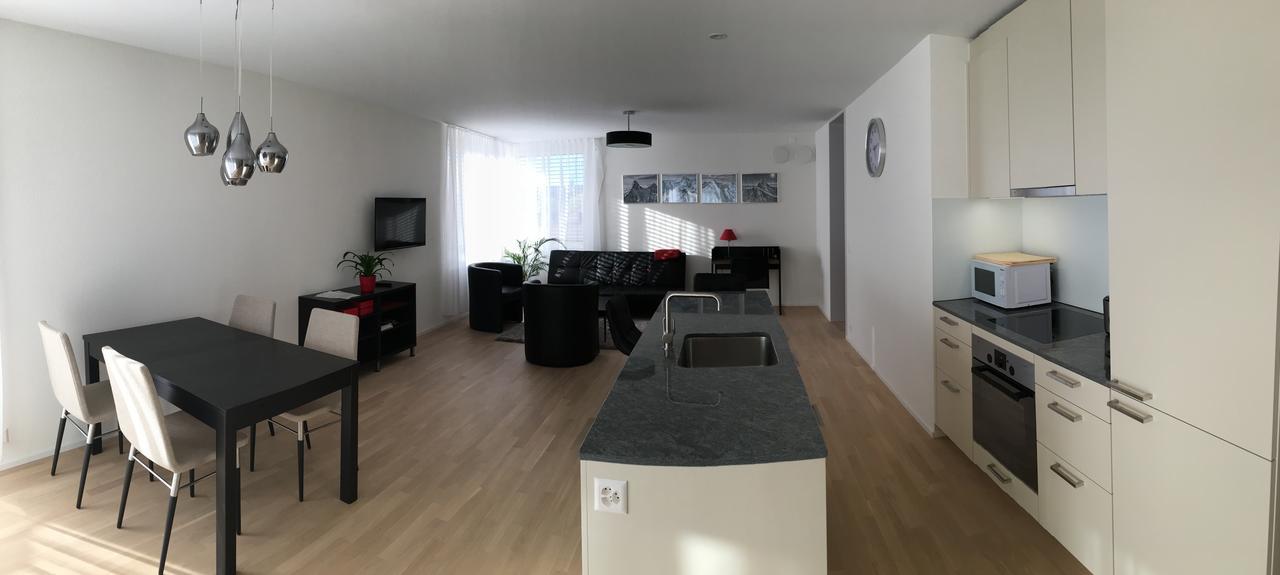 Close To Zuerich Centre And Airport Kloten Eksteriør billede