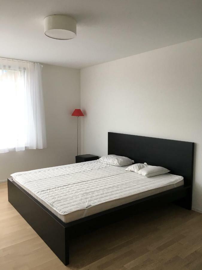 Close To Zuerich Centre And Airport Kloten Eksteriør billede